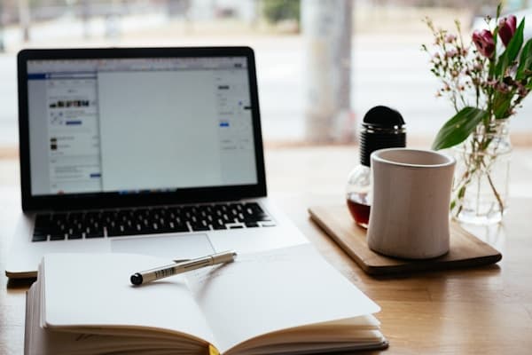 Plateforme LMS (Moodle / Google)
